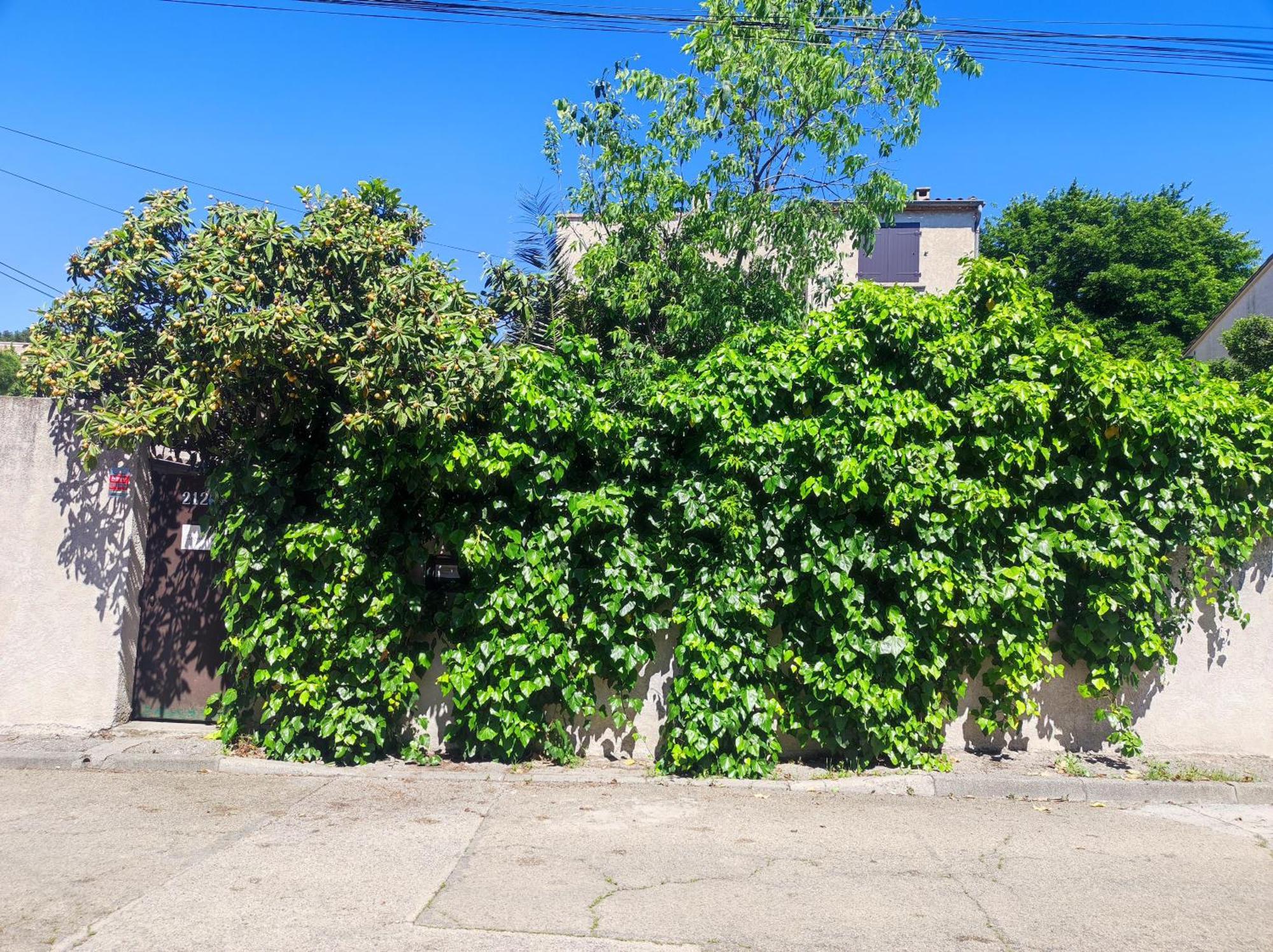 Apartamento Ingrid Mary Nimes Exterior foto